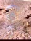 Maggie