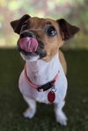Bella