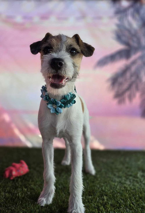 Maggie