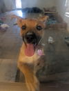 Sawyer