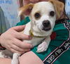 Gunther (bonded with Jacey)
