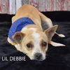Lil Debbie