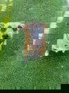 Gaby