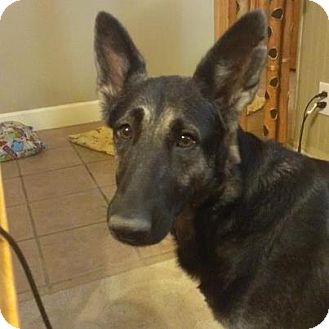 Maggie