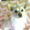 Sam