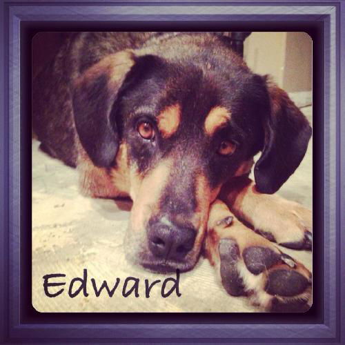 Edward