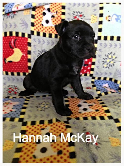 Hannah McKay