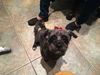 Eleanor