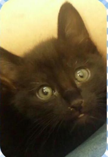 Salem