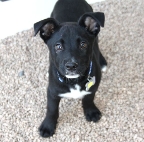 Sam