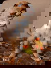 Ashur