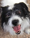 Maeby