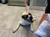 CLEETUS - Photo 1