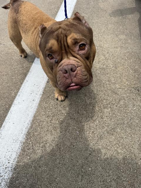 KILO