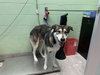 BUDDY - Photo 1
