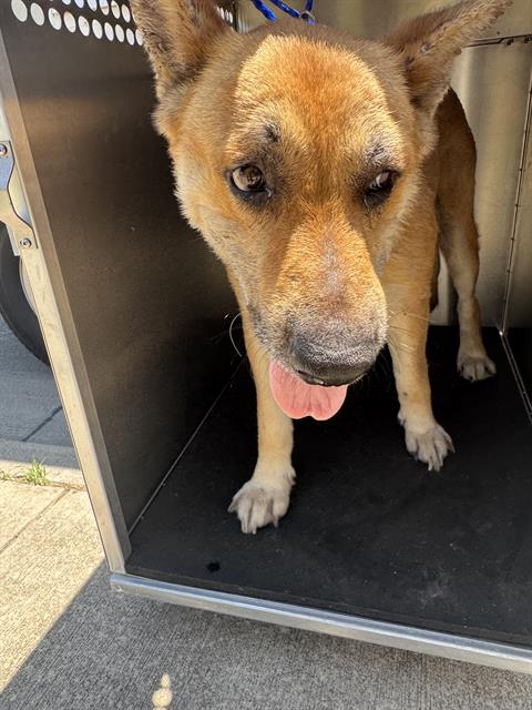 Cain Marko