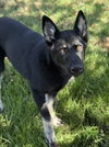 ROSCO - Photo 1