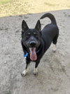 ROSCO - Photo 1