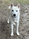 SHILOH - Photo 1