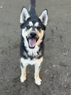 BELLA - Photo 1