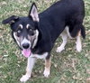HEIDI - Photo 1