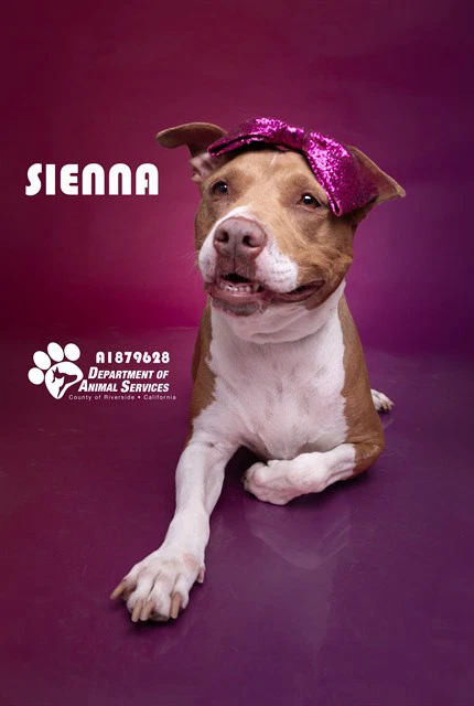 Sienna
