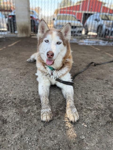 LUNA