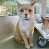 FIGGY - Photo 1