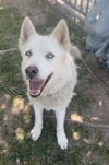 KAINE - Photo 1