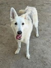 HEIDI - Photo 1