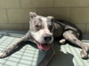 BUFORD - Photo 1