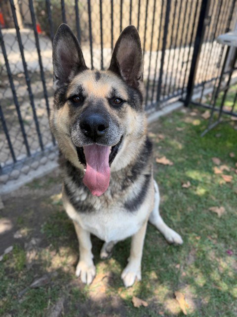 Max