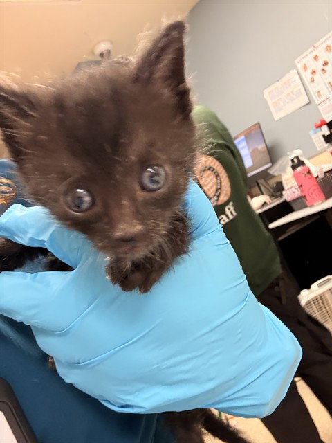 VINNY