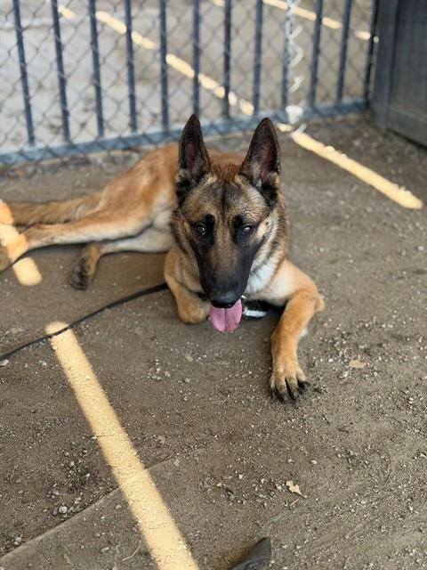 KRYPTO