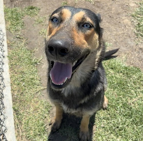 SIERRA