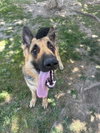 BUSTER - Photo 1