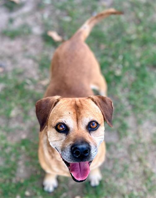 PACO