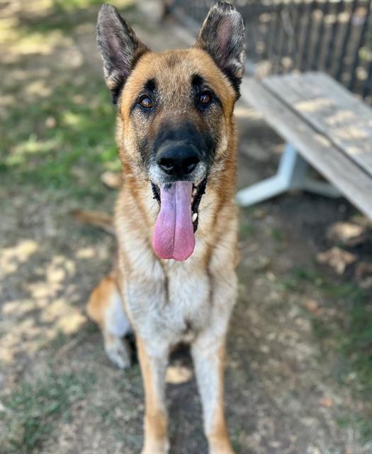Max