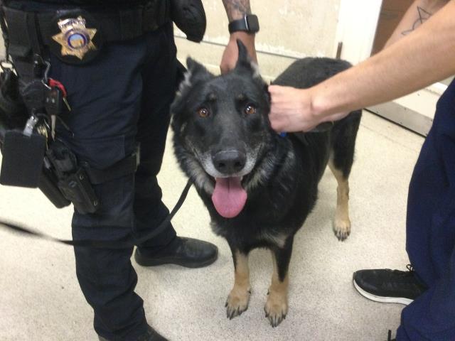 Chico