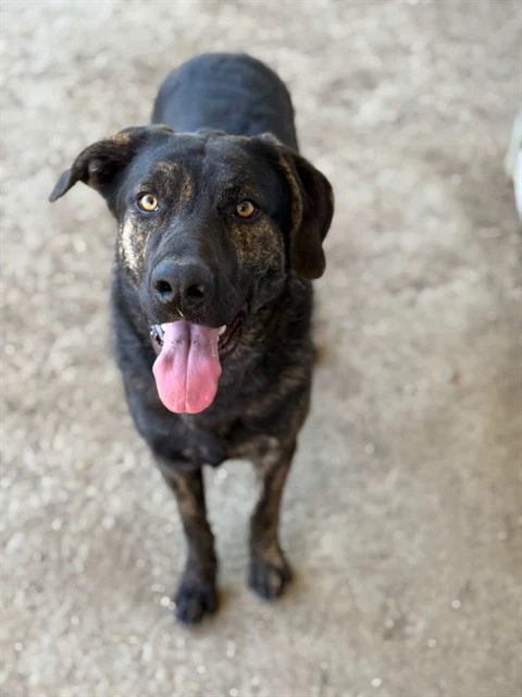 Bruce
