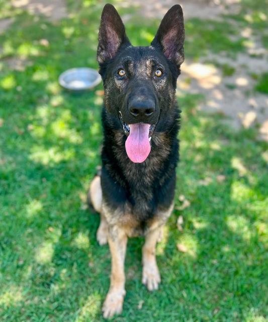 Duke