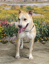 ZEERA - Photo 1