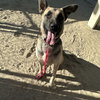 WALLY - Photo 1