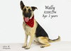 WALLY - Photo 1