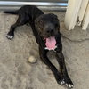 GEMMA - Photo 1