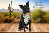 SPARKY - Photo 1