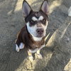 SARABI - Photo 1
