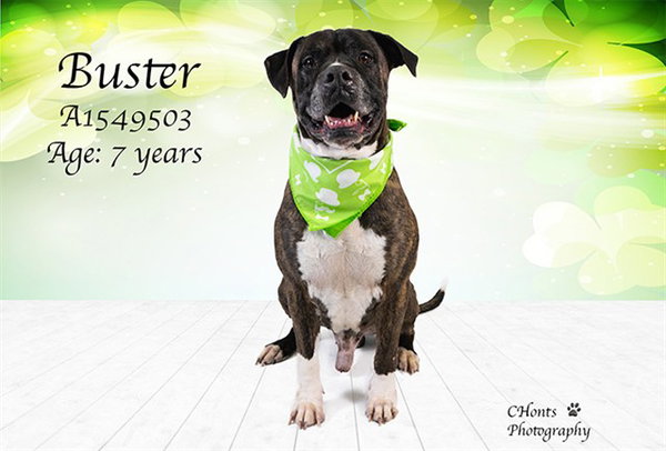 BUSTER