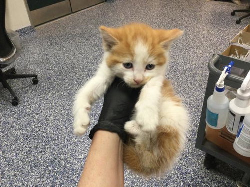A1911146
