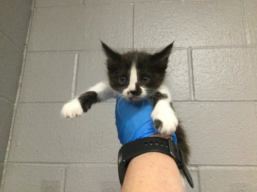 A1917976